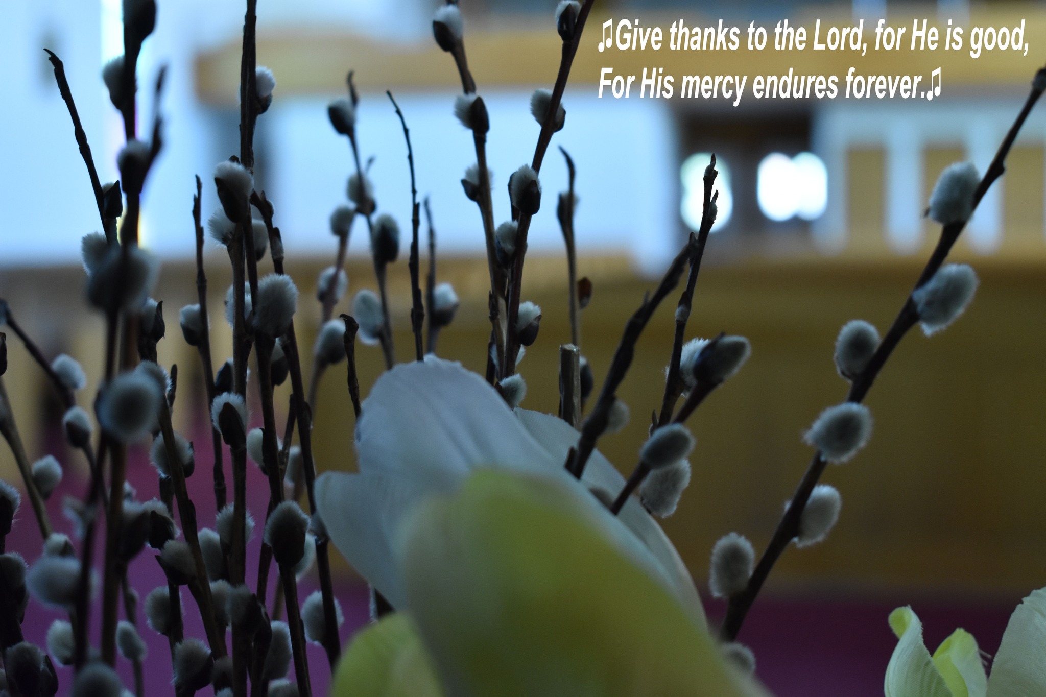 Sacred Heart Church parish photo 7